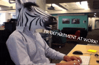 bscompetition esports zebra bs sim racing GIF