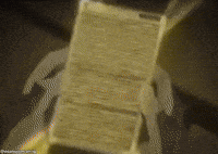 Scared Bungo Stray Dogs GIF