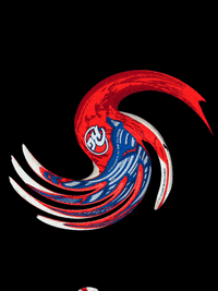 RGGLOVES keeper goalie gloves rg GIF