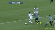 Costa Rica Falling GIF by Fusion