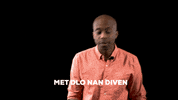 Haitian Flag Haiti GIF by Bernardson