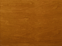 texasroadhouse peanuts texas roadhouse texasroadhouse GIF