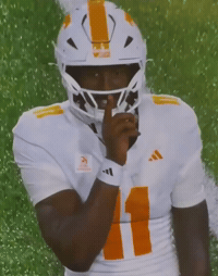 Tennessee Volunteers GIF