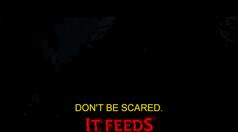 Scared Horror Movies GIF by Signature Entertainment