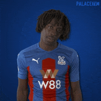 Premier League Win GIF by CPFC