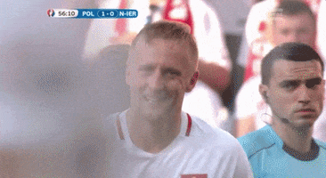euro 2016 GIF by Sporza