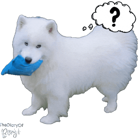 Dog What Sticker