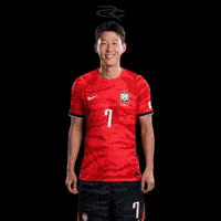 Fifa World Cup Kfa GIF by Respective
