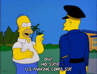 homer simpson GIF
