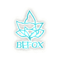 befox_detox  Sticker