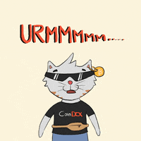 CoinDCXOfficial cat crypto blockchain i dont know GIF