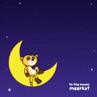 Celebrate To The Moon GIF by VeeFriends