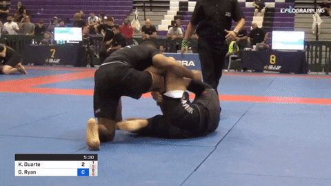 chasesmithflo giphyupload GIF