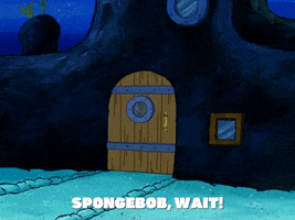 season 6 gullible pants GIF by SpongeBob SquarePants