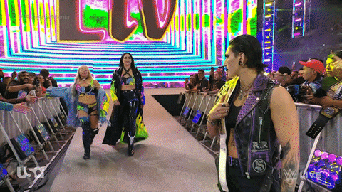 Wwe Wrestler GIF by USA Network