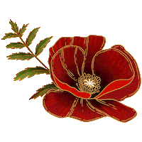 Amapola Datura Sticker