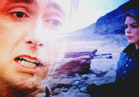 idk how many are there GIF