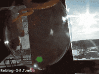 apr GIF