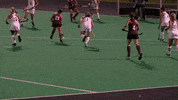 Field Hockey Goal GIF by Lafayette Leopards