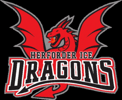 Hockey Hev GIF by Herforder EV