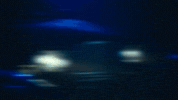 Lil Wayne GIF by Rob 49