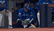 Blue Jays Baseball GIF by Toronto Blue Jays