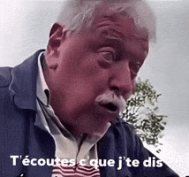 Paysan Saoul GIF