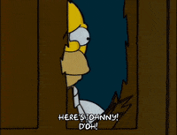 homer simpson episode 6 GIF