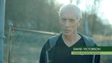 viceland GIF by WEEDIQUETTE