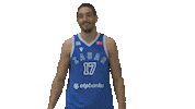 Basketball Player Sticker by KK Zadar