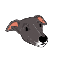 Amorperruno Sticker by elgalgoazul
