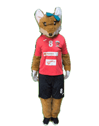 Handball Foxxie Sticker by ihr-gutachten.com