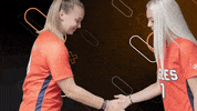 Handshake GIF by Carson-Newman Athletics