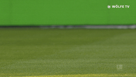 football soccer GIF by VfL Wolfsburg