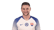 Slovakia Skriniar Sticker by Slovensky futbalovy zvaz