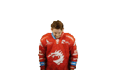 Ice Hockey Sticker Sticker by HC Oceláři Třinec