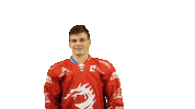 Ice Hockey Sticker Sticker by HC Oceláři Třinec