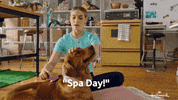 Dog GIF by Hallmark Channel