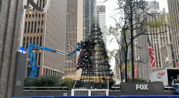Crews Dismantle Burned Fox News Christmas Tree in Manhattan