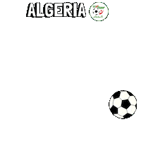 World Cup Football Sticker by Pudgy Penguins