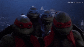 Martial Arts Comedy GIF by Arrow Video