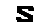 Logo Ski Sticker by Salomon