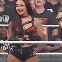 Wwe Sh GIF