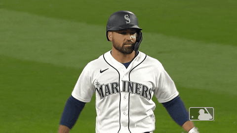 Regular Season Sport GIF by MLB
