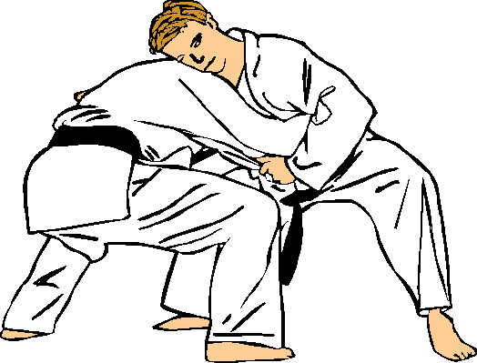 judo GIF