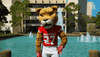 houstoncougars houston sasha gocoogs shasta GIF