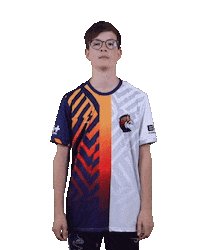 Esports Zebra Sticker by BS+COMPETITION