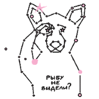 Uzhiki stars bear fish медведь Sticker