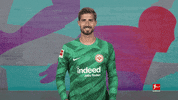 Eintracht Frankfurt Football GIF by Bundesliga