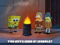 season 5 GIF by SpongeBob SquarePants